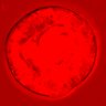Thumbnail for dataset figure1D_NuCyM_posi10_1