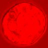 Thumbnail for dataset figure1D_NuCyM_posi10_2