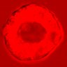 Thumbnail for dataset figure1D_NuCyM_posi11_1