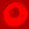 Thumbnail for dataset figure1D_NuCyM_posi11_2