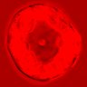 Thumbnail for dataset figure1D_NuCyM_posi11_3