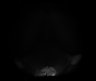 Thumbnail for dataset Fig6_131118_10-09-33