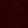 Thumbnail for dataset Figure3G_invitro_N2_CD4
