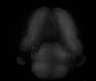 Thumbnail for dataset Fig6_131118_22-31-24