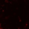 Thumbnail for dataset Figure5DF_MEKi_DP1