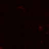 Thumbnail for dataset Figure5DF_MEKi_DP3