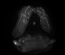 Thumbnail for dataset Fig6_131119_09-13-05