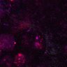 Thumbnail for dataset Figure6AC_CD4_0529_3