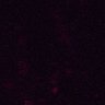 Thumbnail for dataset Figure6AC_CD8_0522