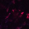 Thumbnail for dataset Figure6AC_CD8_0529_2