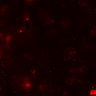 Thumbnail for dataset Figure7BE_0409_CD4KO