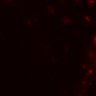 Thumbnail for dataset Figure7BE_onWT_CD4_2_1
