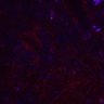Thumbnail for FigureS1_experiment2_MEKi