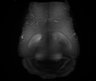 Thumbnail for dataset Fig6_131119_12-13-00