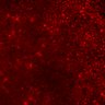 Thumbnail for FigureS2_experiment3_Thymic_Cortex_WT