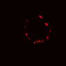 Thumbnail for dataset Figure2FG_20170114_ErkNLS_MEKi_post
