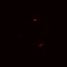 Thumbnail for Figure2H_pre_snp1
