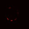 Thumbnail for dataset Figure2I_BRAF_100nM_2