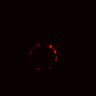 Thumbnail for dataset Figure2I_BRAF_1uM_pre