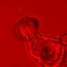 Thumbnail for dataset Figure3E_20160130_ERK_baseline_1
