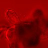 Thumbnail for dataset Figure3F_20160130_ERK_NLS_EGFstiml_30min