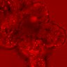 Thumbnail for dataset Figure3F_20160302_ErkNLS_2xEGF_stml_post