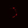 Thumbnail for dataset Figure4A_20161208_ErkNLS_EGFRiandHER2i
