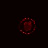 Thumbnail for dataset Figure4B_EGFRi_post