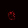 Thumbnail for dataset Figure4B_ErbB2i_post_1