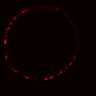 Thumbnail for dataset Figure4B_ErbB2i_post_3