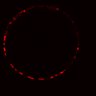 Thumbnail for dataset Figure4B_ErbB2i_pre_3