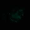 Thumbnail for dataset Figure4D_20170124_ErkNLS_CSII_1