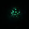 Thumbnail for dataset Figure4D_20170124_ErkNLS_dnEGFR_1