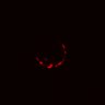 Thumbnail for dataset Figure4EF_20160709_ErkNLS_ErbB2i_90min