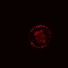Thumbnail for dataset Figure4EF_20161119_ErkNLS_EGFRi_90minOSC