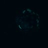 Thumbnail for dataset Figure5B_20170417_d_ERK_Adenoma_1