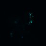 Thumbnail for dataset Figure5B_20170417_d_ERK_Normal_1