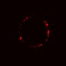 Thumbnail for dataset Figure5C_20170330_d716_EGFRi_post