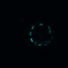 Thumbnail for dataset Figure5C_ErbB2i_post