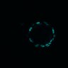Thumbnail for dataset Figure5D_EGFRi_and_ErbB2i_post3