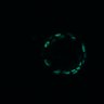 Thumbnail for dataset Figure5D_EGFRi_and_ErbB2i_pre3