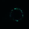 Thumbnail for dataset Figure5D_EGFRi_post1