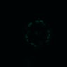 Thumbnail for dataset Figure5D_EGFRi_pre2