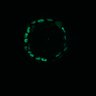 Thumbnail for dataset Figure5D_ErbB2i_post2