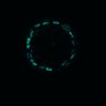Thumbnail for dataset Figure5D_ErbB2i_pre2