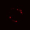 Thumbnail for dataset Figure5EF_20170330_d716_EGFRi_OSC