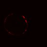 Thumbnail for dataset Figure6B_20161108_ErkNLS_ENR_1
