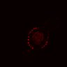Thumbnail for dataset Figure6B_20161108_ErkNLS_ENR_3