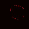 Thumbnail for dataset Figure6C_CHIR_EGFRi_01