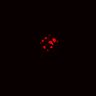 Thumbnail for dataset Figure6D_ENRvsCHIR_pre